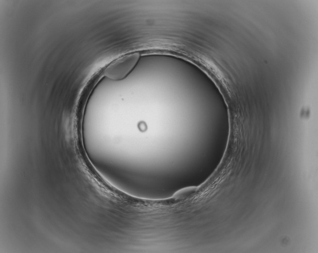 X0000096381072200801241231
