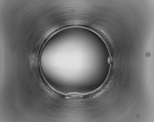 X0000096381073200801241231