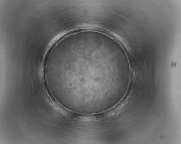 X0000096381074200801241231