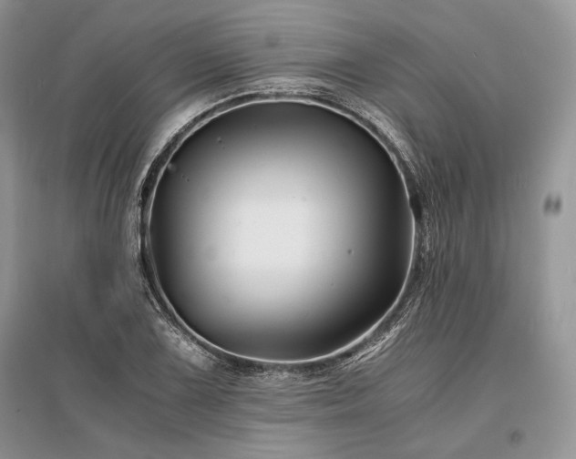 X0000096381075200801241231