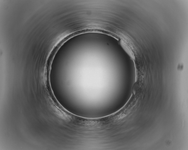 X0000096381076200801241231