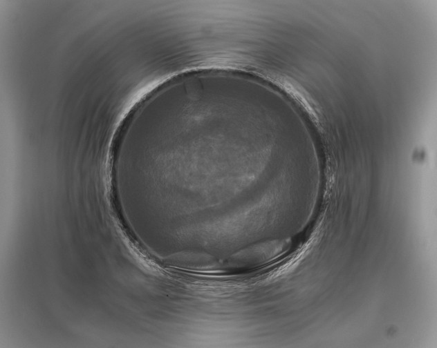 X0000096381077200801241231