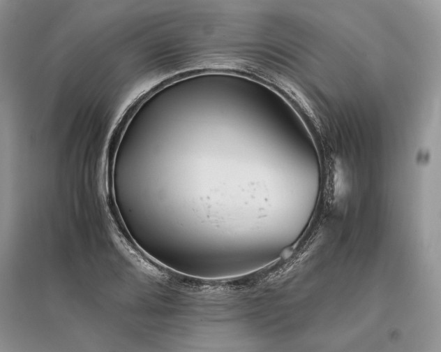 X0000096381080200801241231