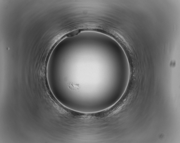 X0000096381081200801241231