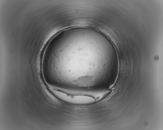 X0000096381083200801241231