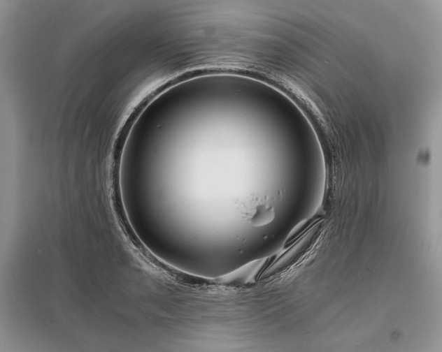 X0000096381085200801241231