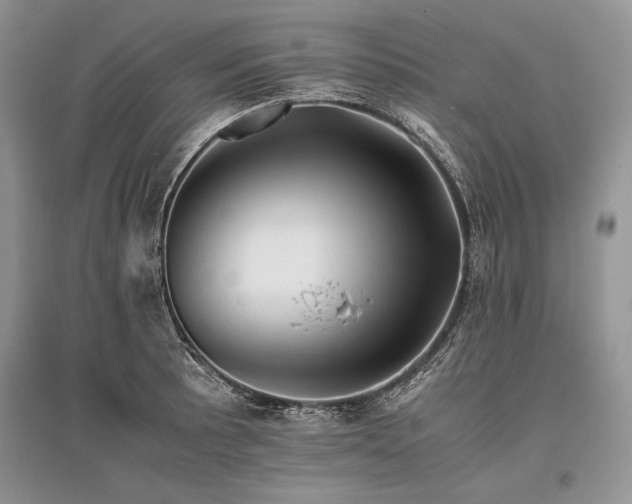 X0000096381089200801241231