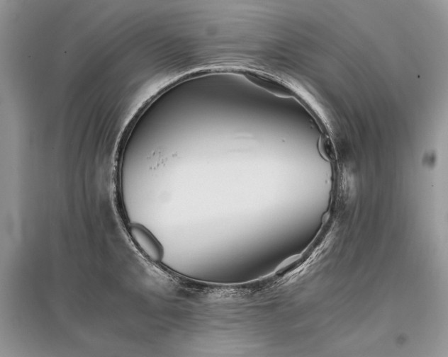 X0000096381093200801241231