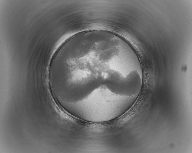 X0000096381094200801241231