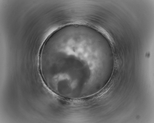 X0000096381095200801241231