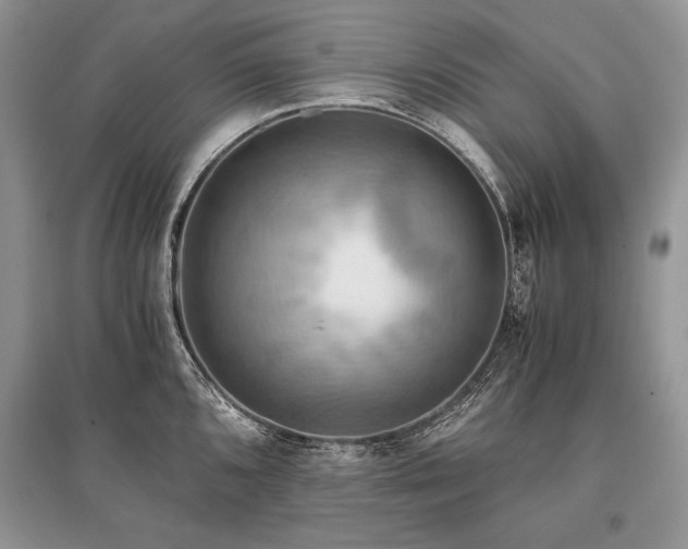X0000096381096200801241231