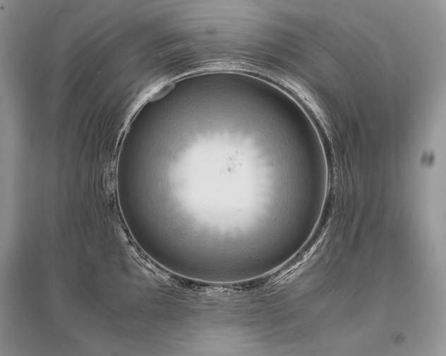 X0000096381097200801241231