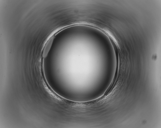 X0000096381100200801241231
