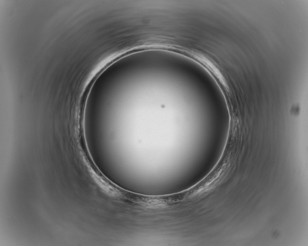 X0000096381101200801241231