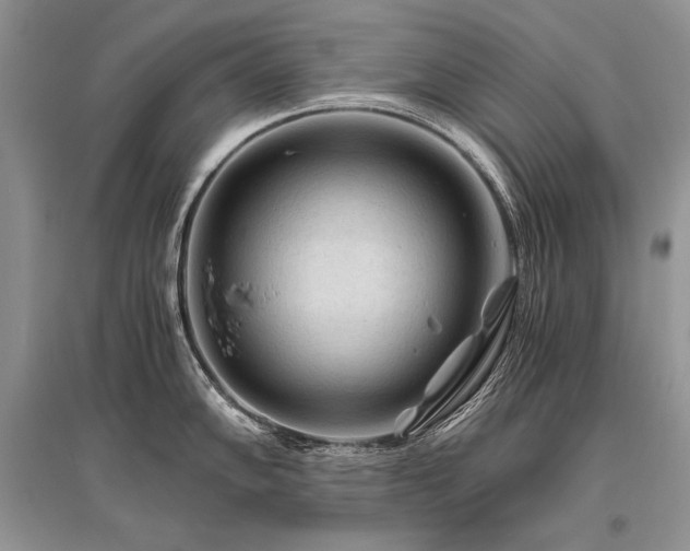 X0000096381102200801241231