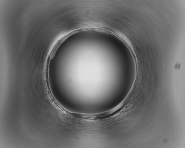 X0000096381104200801241231