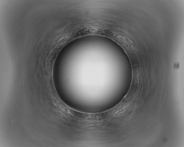 X0000096381105200801241230
