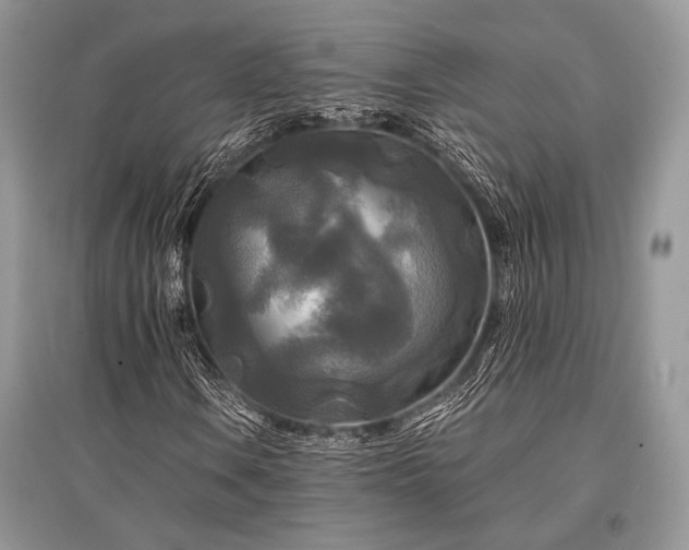 X0000096381106200801241230