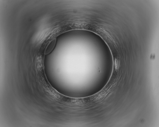 X0000096381107200801241230
