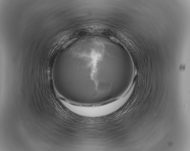 X0000096381108200801241230