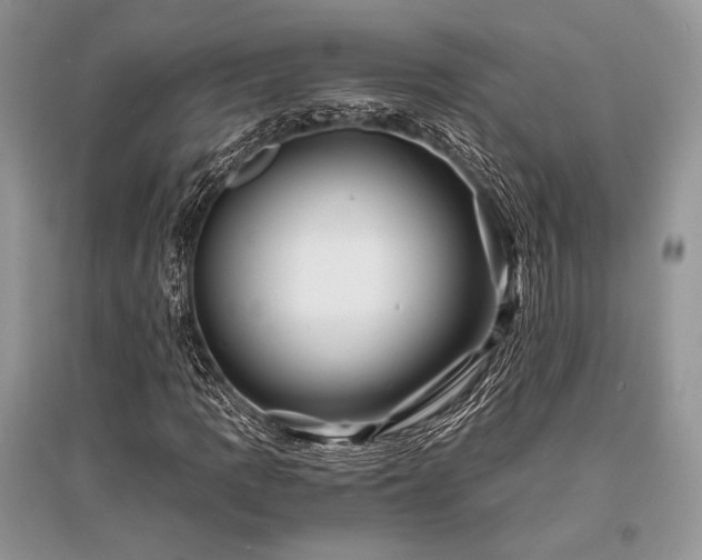 X0000096381109200801241230