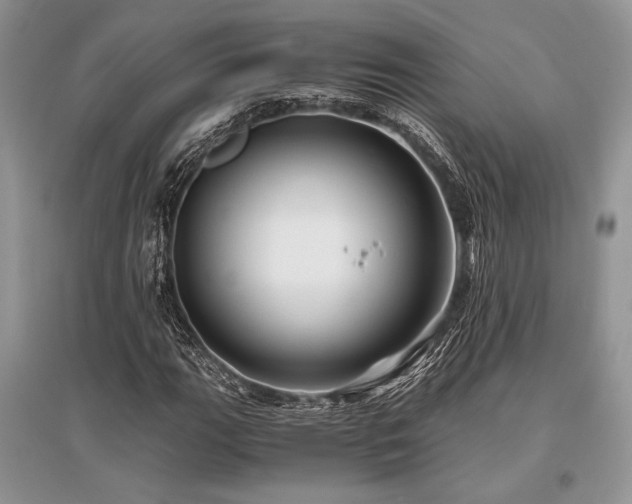 X0000096381111200801241230