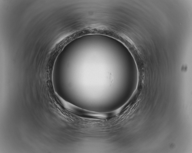X0000096381112200801241230
