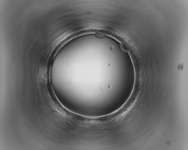 X0000096381113200801241230