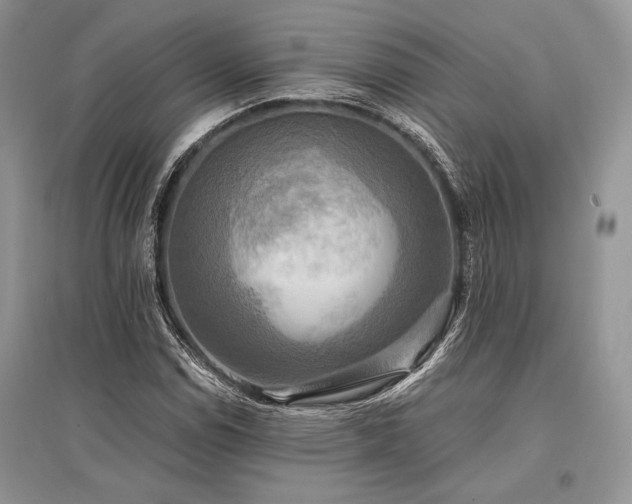 X0000096381114200801241230