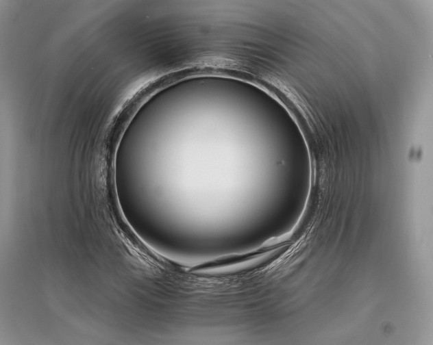 X0000096381115200801241230