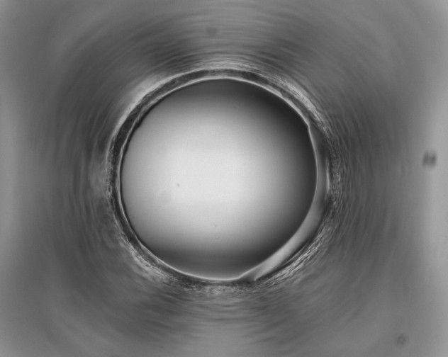 X0000096381116200801241230