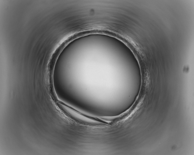 X0000096381118200801241230