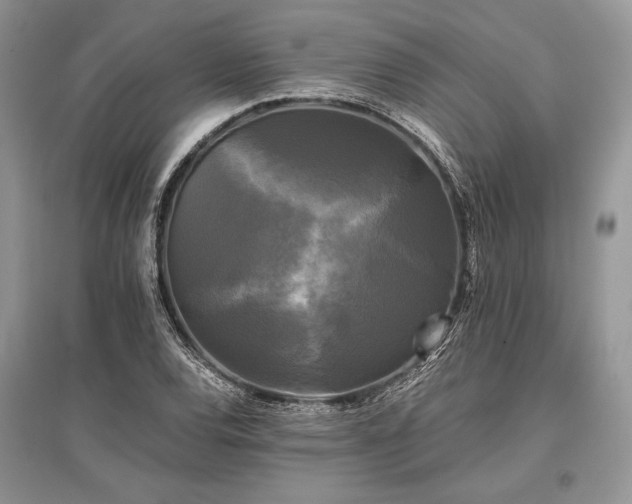 X0000096381120200801241230