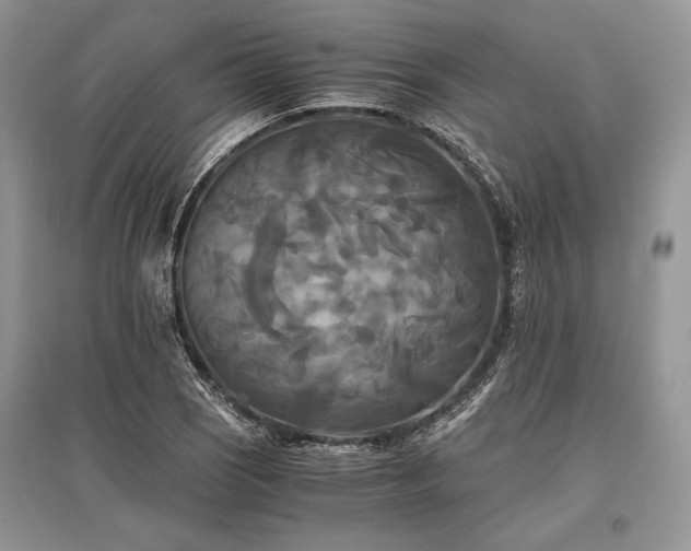 X0000096381121200801241230