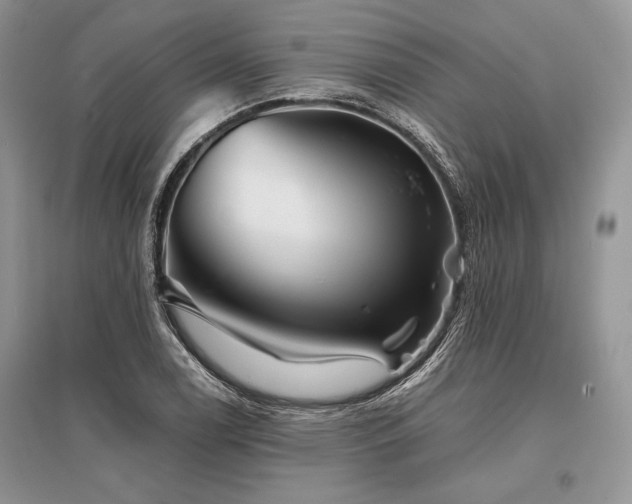 X0000096381122200801241230