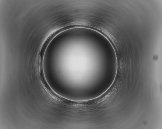 X0000096381123200801241231