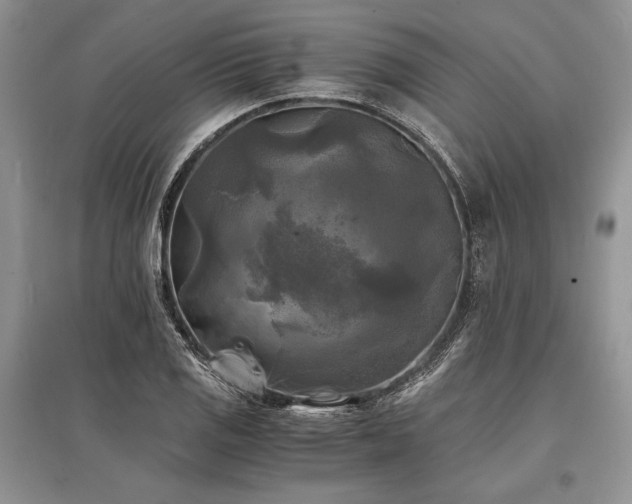 X0000096381125200801241231