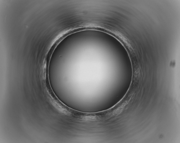 X0000096381126200801241231