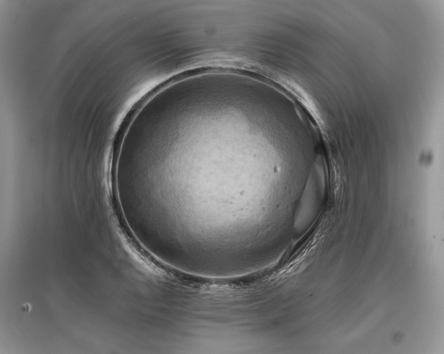 X0000096381128200801241231
