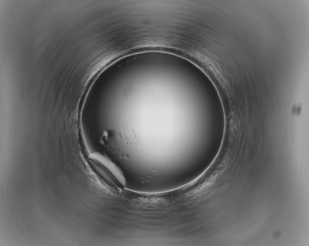 X0000096381129200801241231