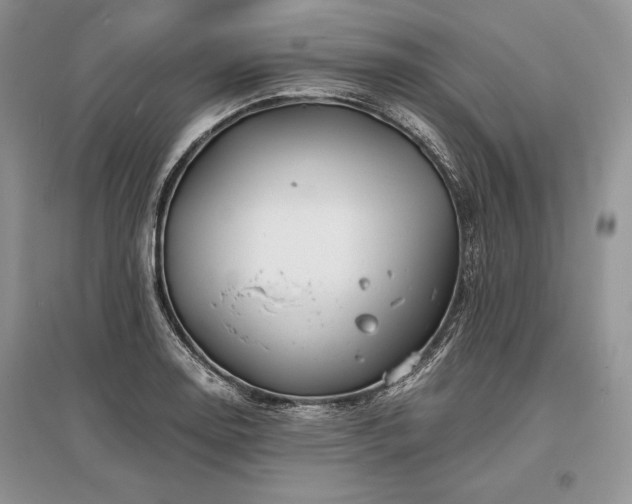 X0000096381130200801241231