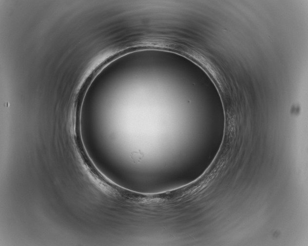 X0000096381131200801241231