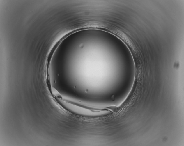 X0000096381132200801241231