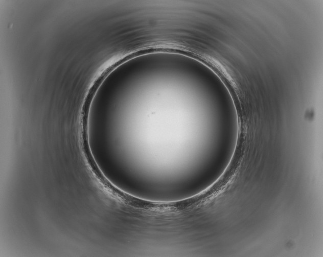 X0000096381133200801241231
