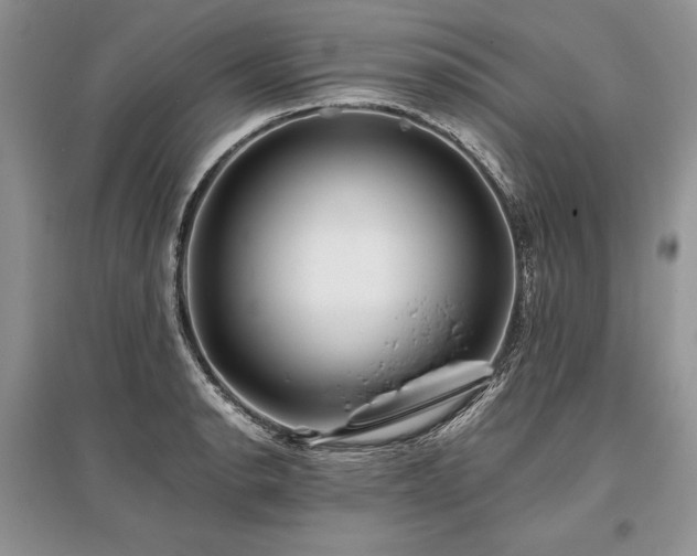 X0000096381134200801241231