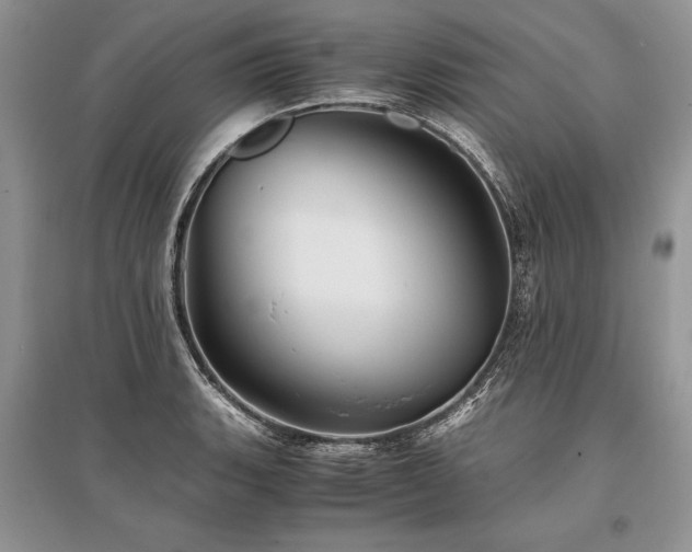 X0000096381135200801241231