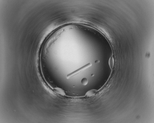 X0000096381136200801241231