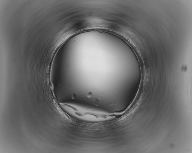 X0000096381137200801241231