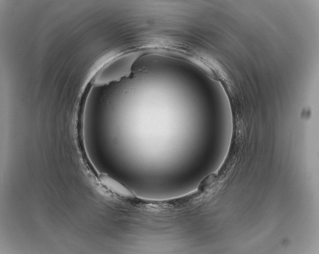 X0000096381138200801241231