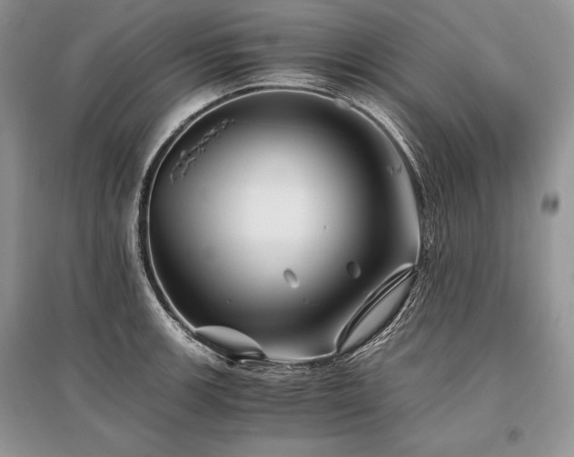 X0000096381139200801241231